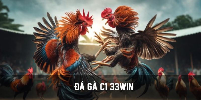 ảnh đại diện đá gà c1 33win