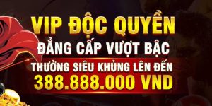 vip độc quyền 33win