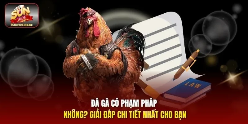 Đá gà có phạm pháp không
