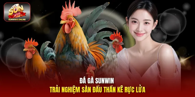 Sunwin 🎖️ Sun Win Cổng Game Bài Uy Tín Số #1 2026 20 Sunwin Đá gà Sunwin - Trải nghiệm sàn đấu thần kê rực lửa