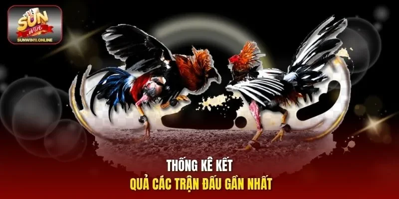 Thống kê kết quả các trận đấu gần nhất